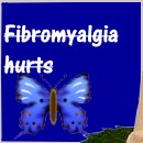 fibro1.jpg